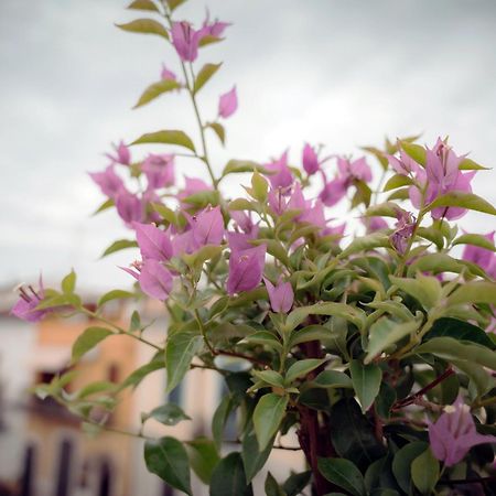 La Terrazza Dei Gemelli - Casa Vacanze Venosa Kültér fotó